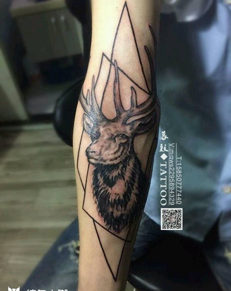 小臂~鹿纹身图片_手臂写实动物纹身图案