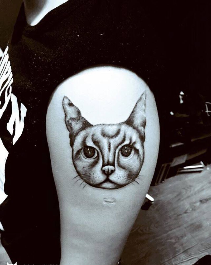 小猫纹身图片
