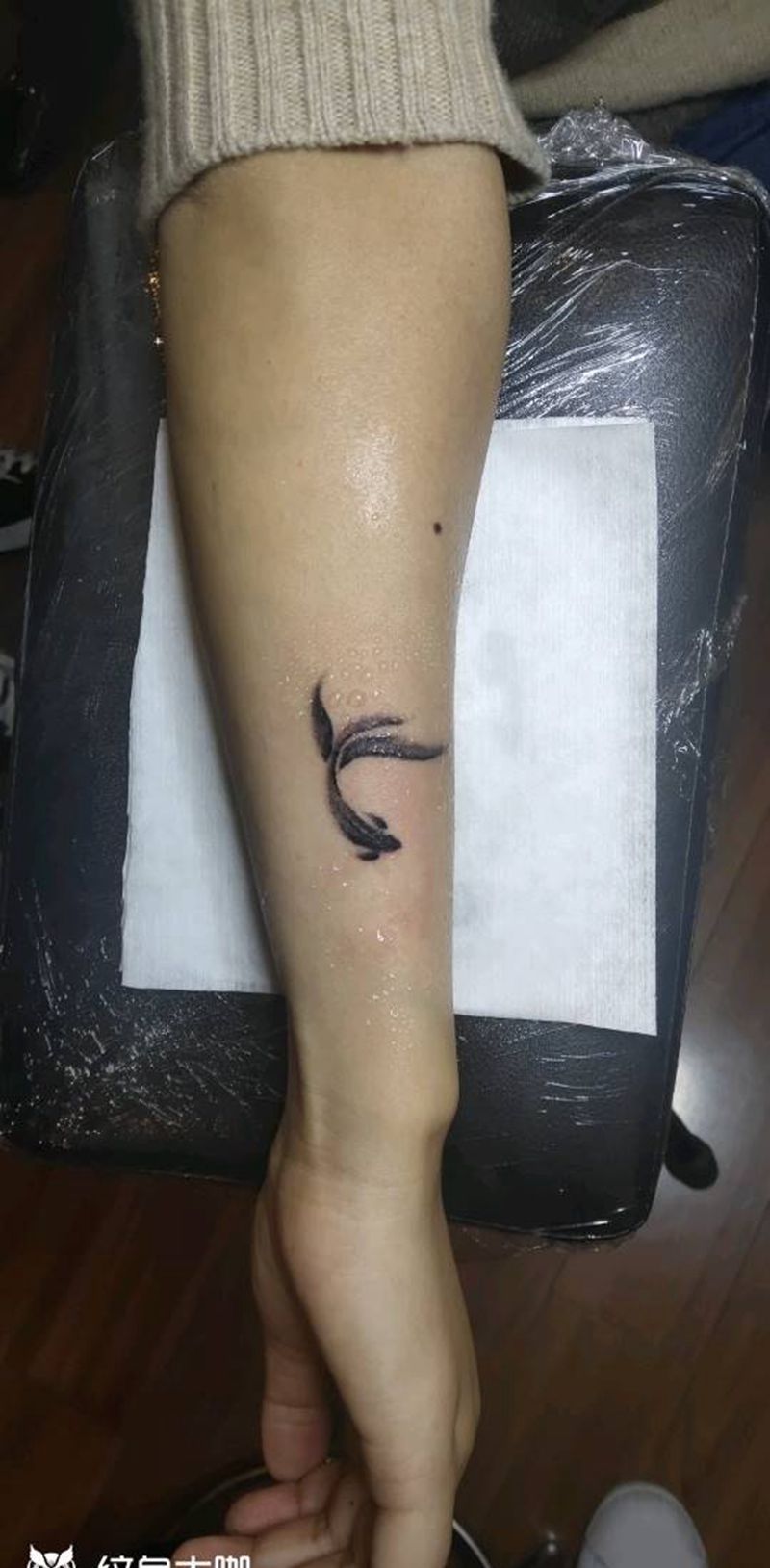 199元水墨鱼纹身图片_手部水墨纹身图案