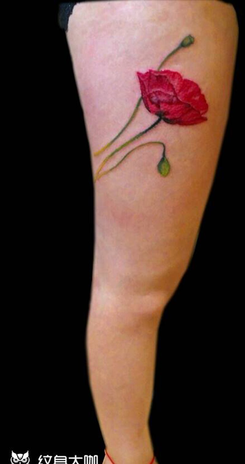 罂粟花纹身图片