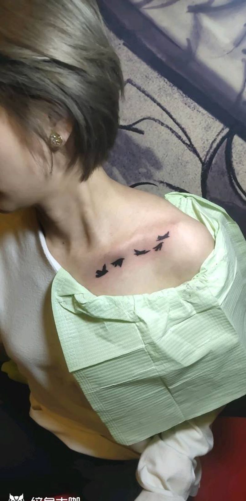 299元飞鸟纹身图片_肩部图腾纹身图案