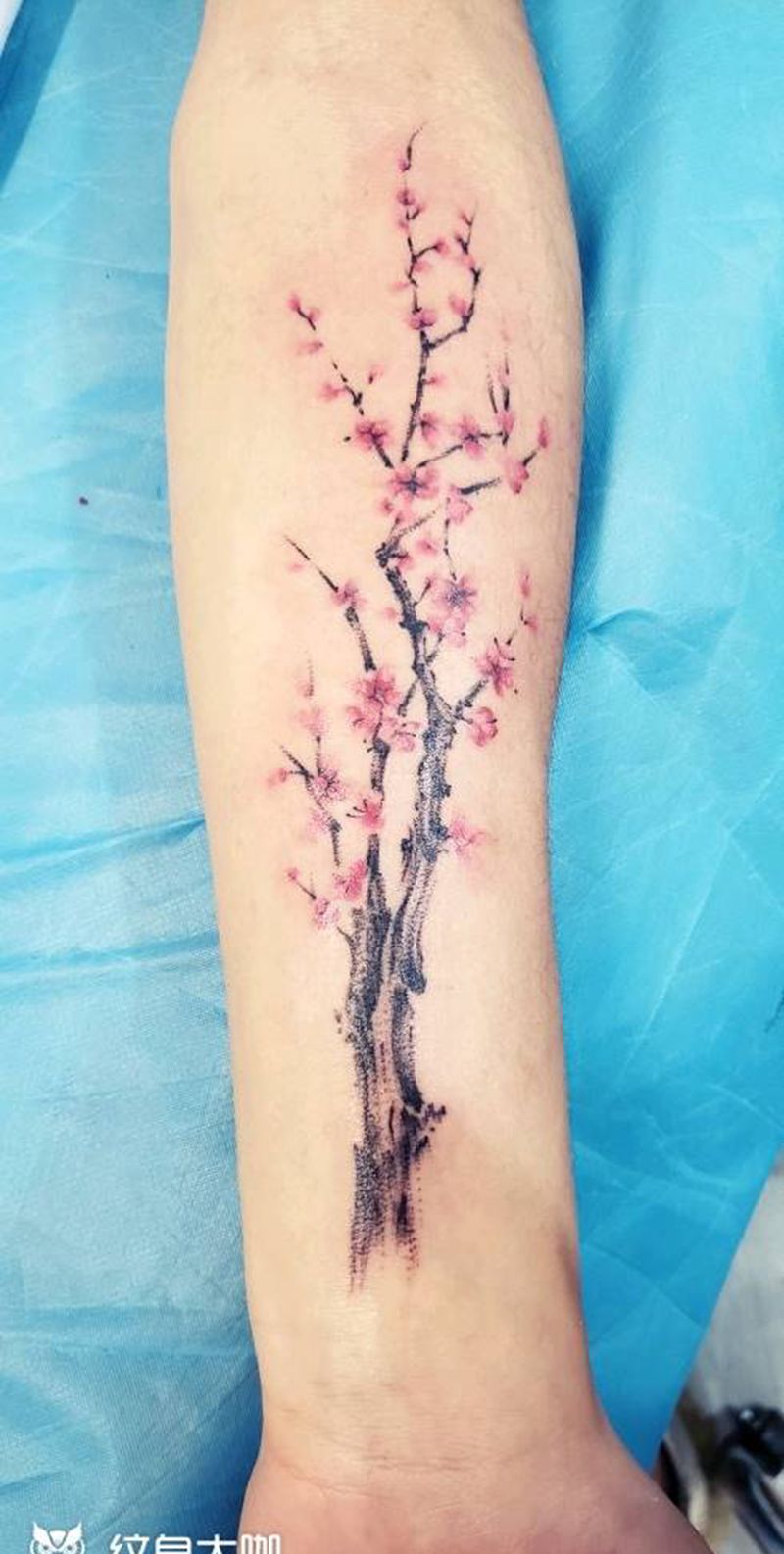 梅花纹身图片_手臂纹身图案