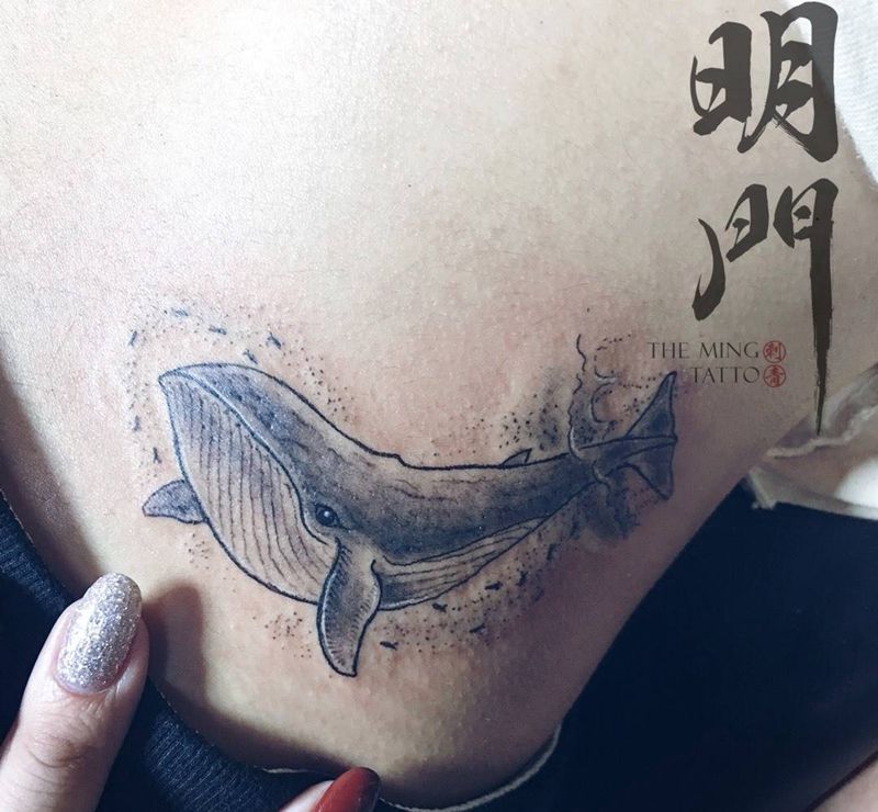 小鲸鱼纹身图片