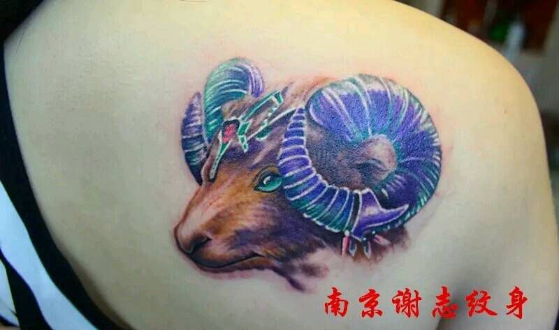 羊头纹身图片_背部清新原创成品纹身图案