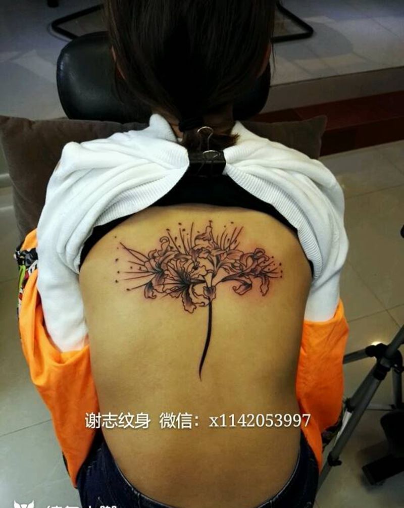 彼岸花纹身图片_背部清新植物原创成品纹身图案