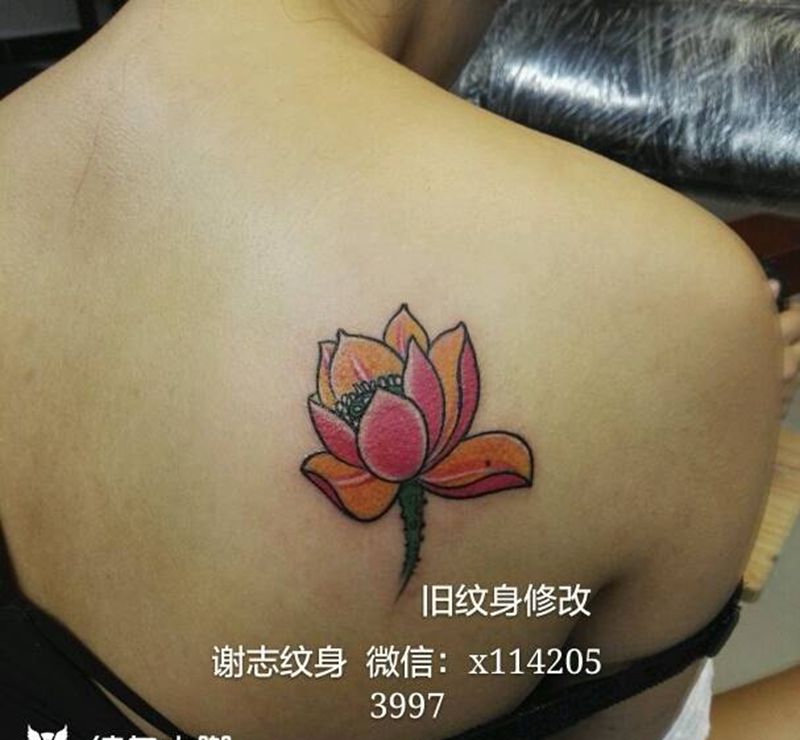 旧纹身修改纹身图片_背部清新原创成品纹身图案
