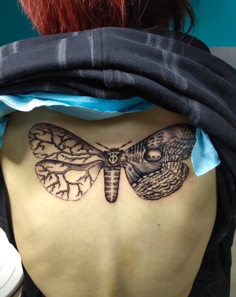 暗黑系点刺后背蝴蝶【1200】纹身图片_背部胸部点刺蝴蝶纹身图案