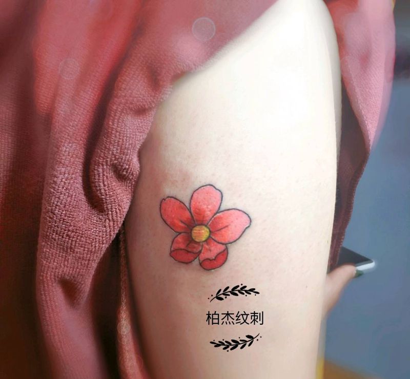 遮盖疤痕纹身图片