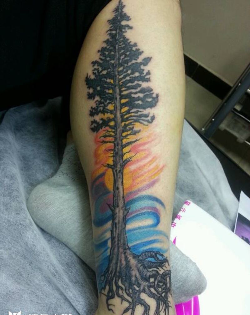 重彩纹身图片_欧美几何字符动物人物植物静物鬼神狂人刺青成品纹身图案