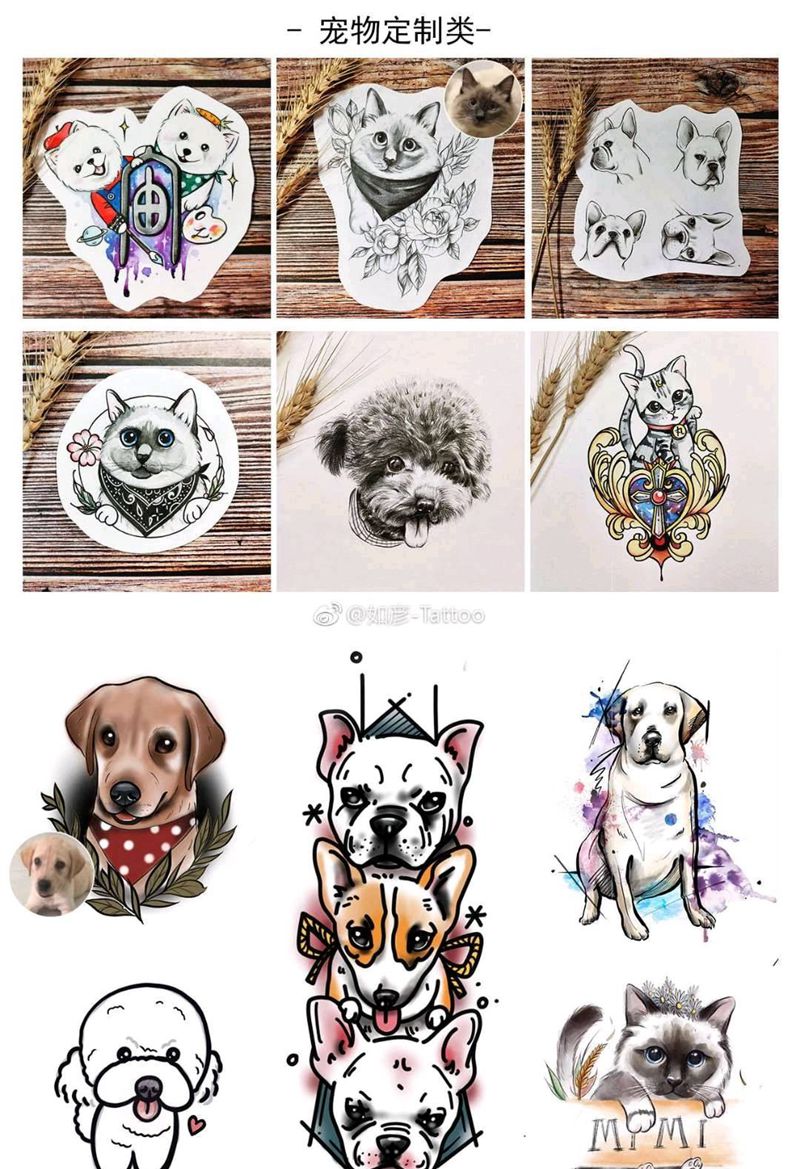 宠物纹身定制纹身图片