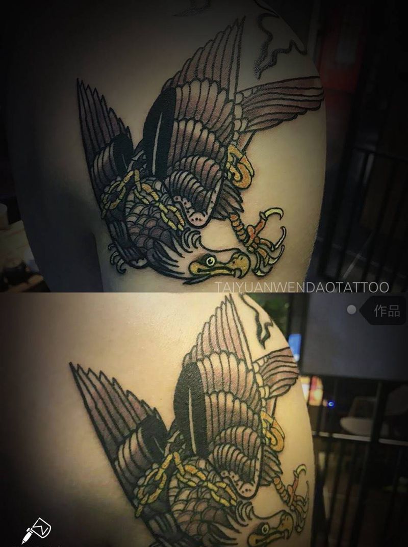 老鹰纹身图片_成品肩部欧美动物纹身图案