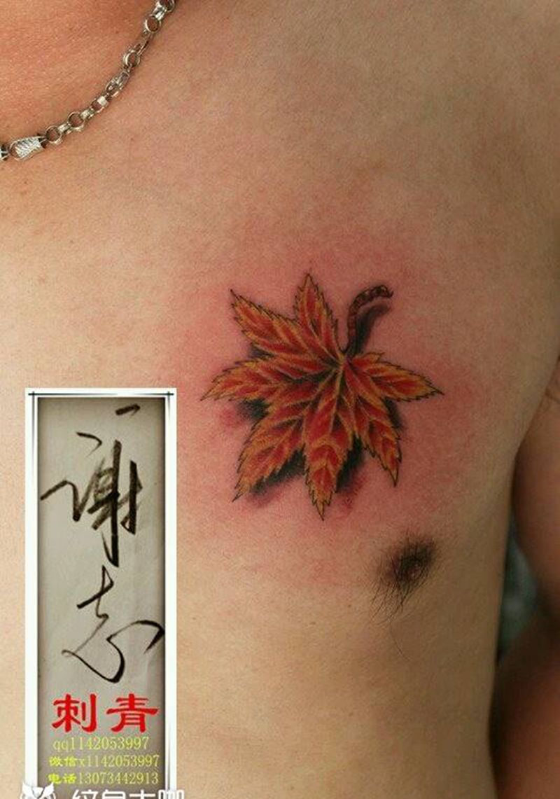 枫叶纹身图片_背部清新植物原创成品纹身图案