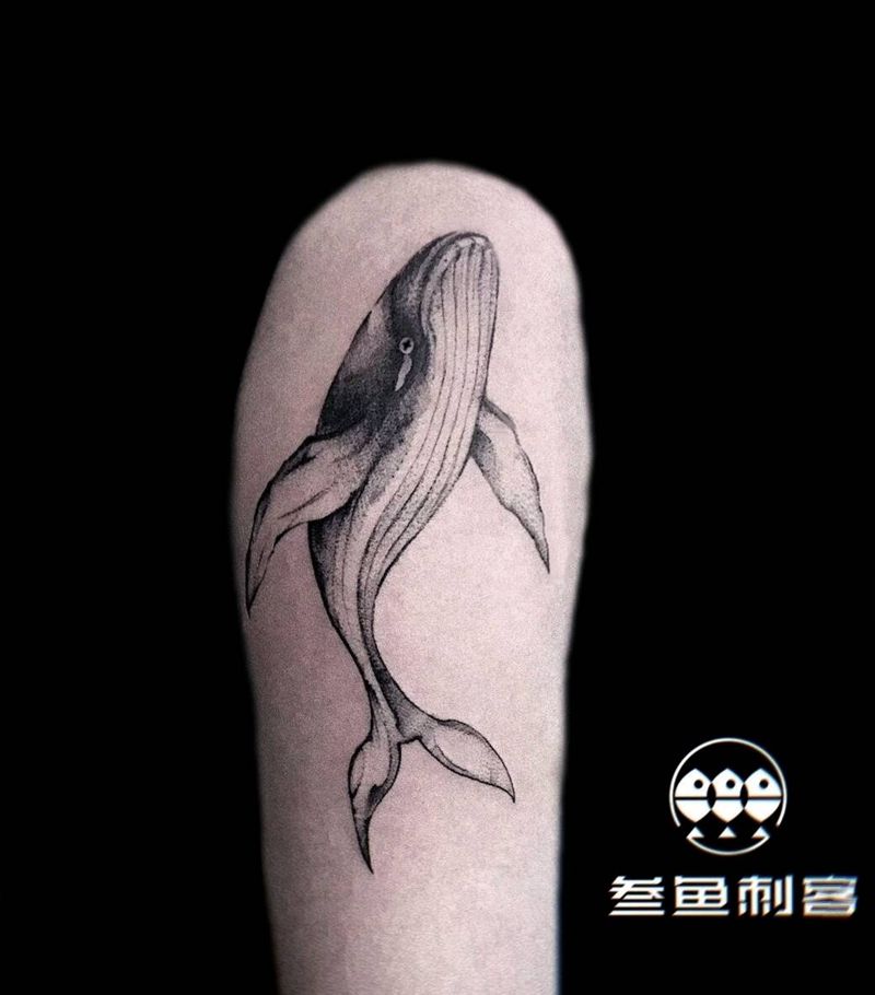 鲲纹身✘纹身图片_手臂点刺鲲纹身图案