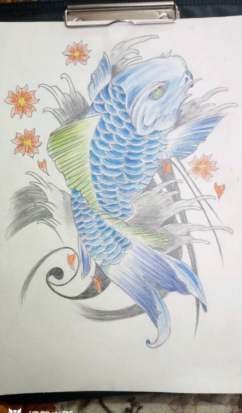 鲤鱼莲花纹身图片