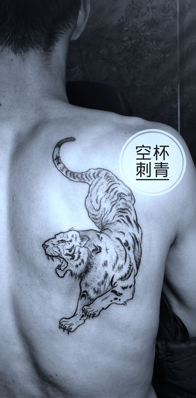 虎纹身图片_背部纹身图案