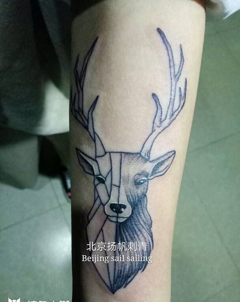 清新小鹿纹身图片