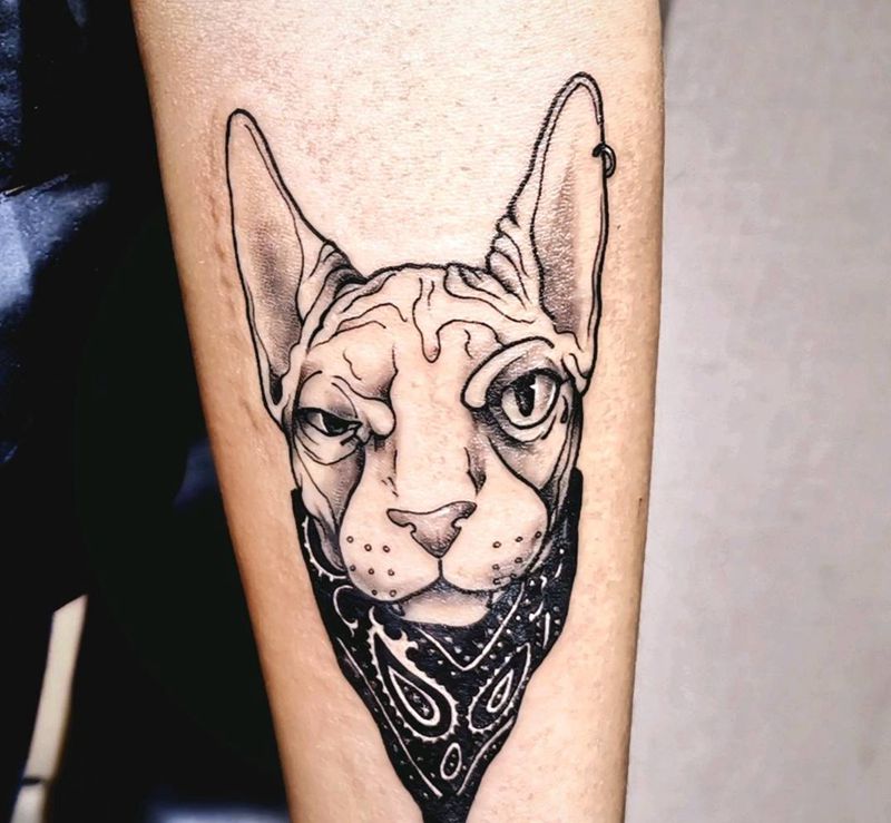 斯芬克斯纹身图片_手臂纹身图案