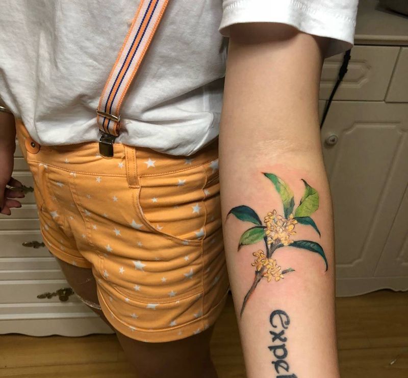 桂花纹身图片_手臂清新纹身图案