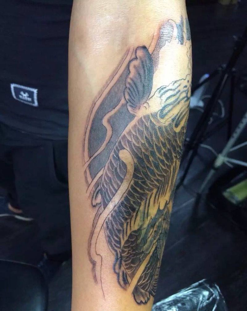 锦鲤盖疤纹身图片_手臂动物传统纹身图案