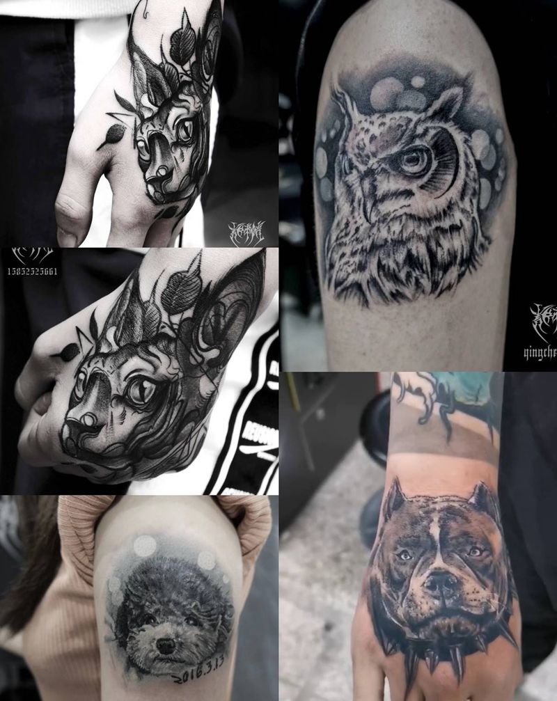 青臣刺青近两年宠物纹身作品纹身图片_手臂腿部欧美写实点刺猫狗写实纹身图案