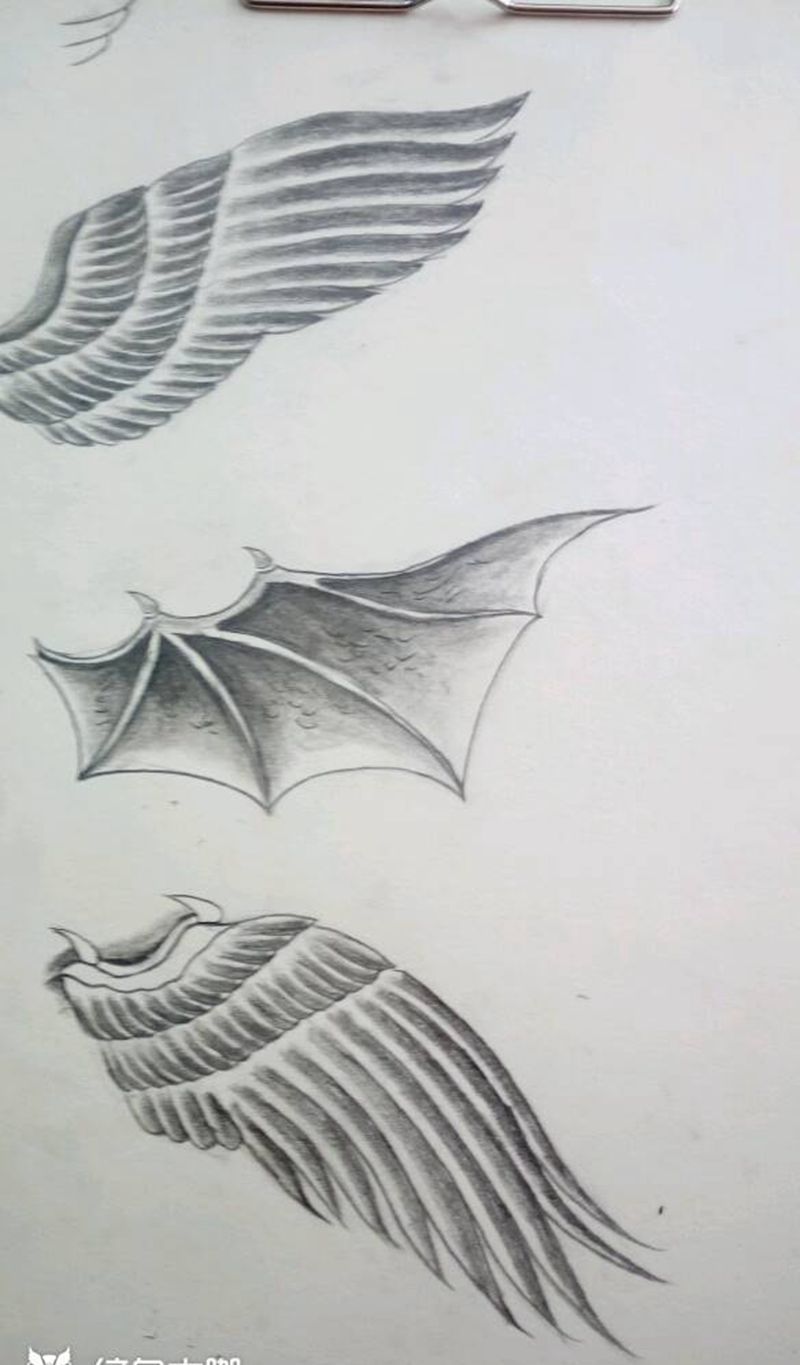 翅膀纹身图片