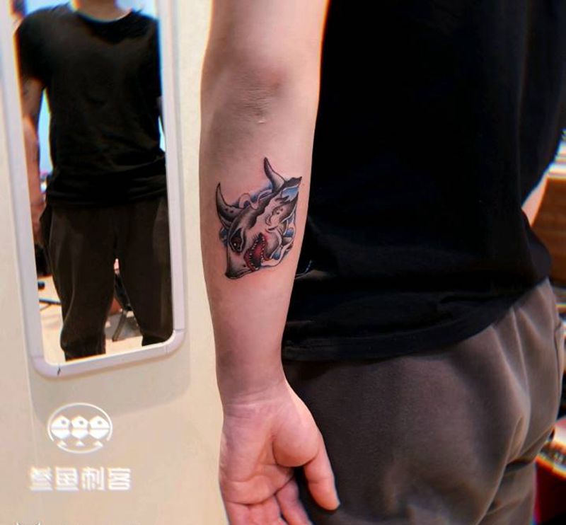 新风格––鲨鱼