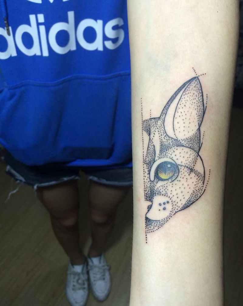 点刺猫纹身图片