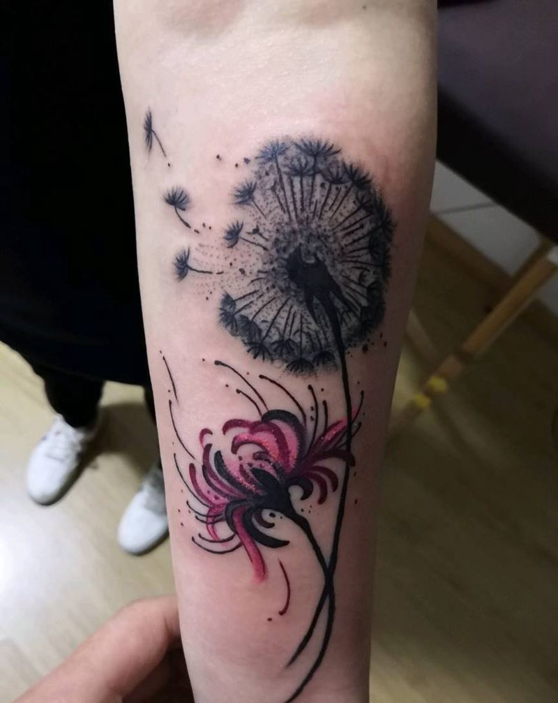 蒲公英与彼岸花