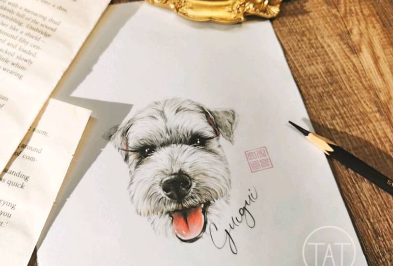 宠物设计稿纹身图片_New School纹身图案