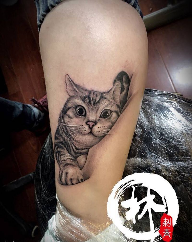 猫纹身图片