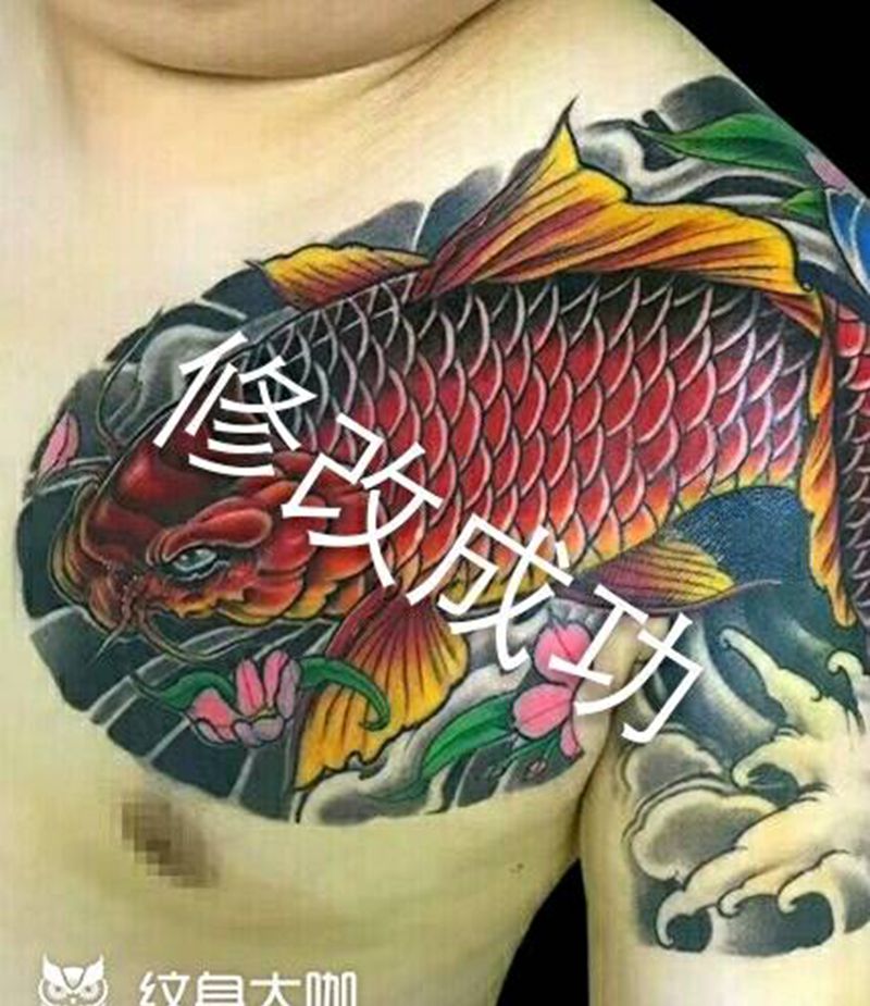 红烧鱼变锦鲤纹身图片_肩部胸部传统成品纹身图案