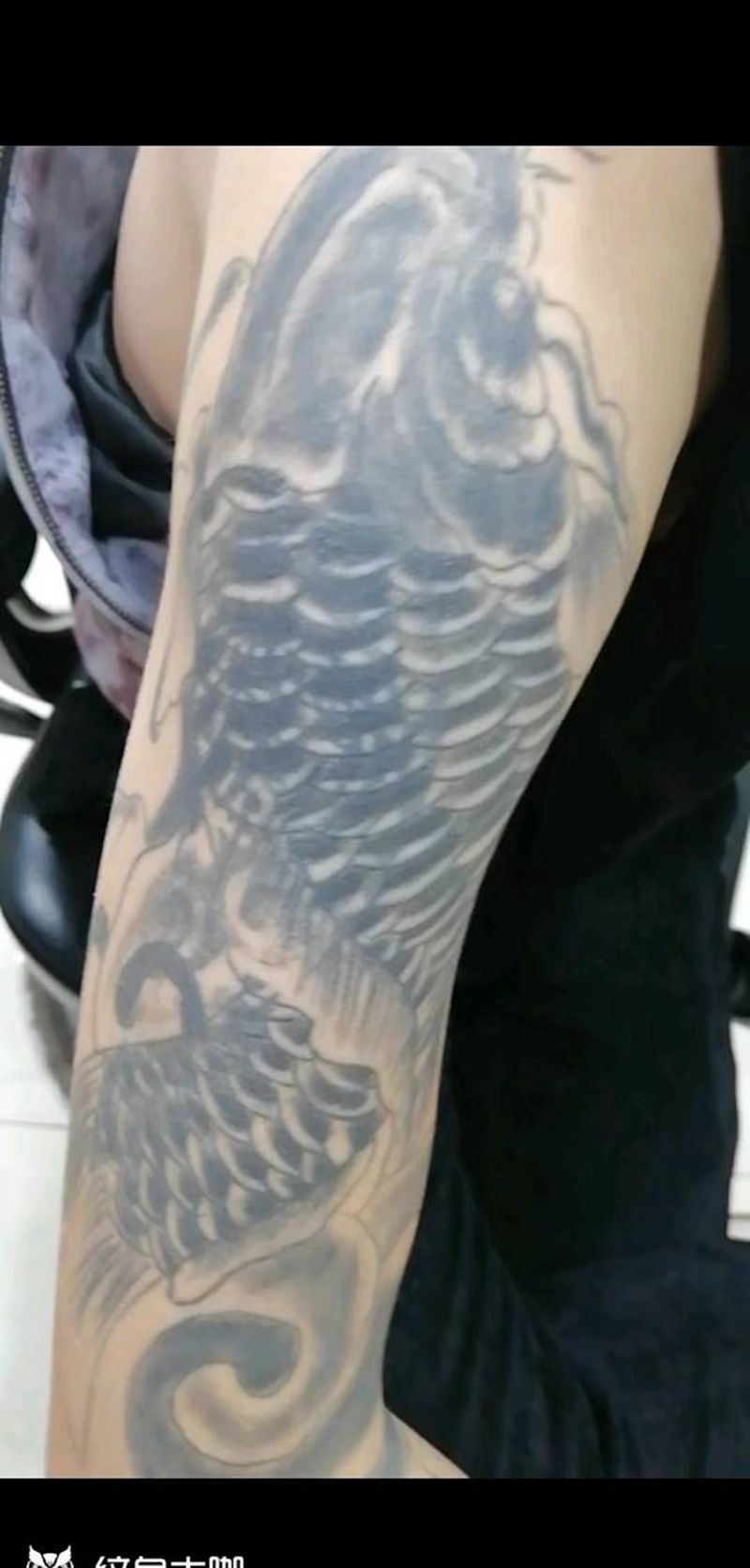 修改黑草鱼进展图！纹身图片_老传统纹身图案