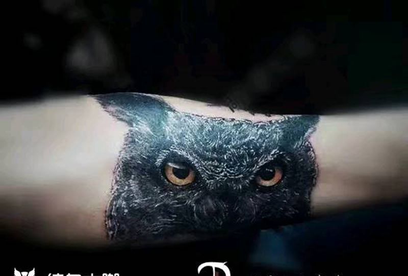 猫头鹰纹身图片_手臂欧美写实动物纹身图案