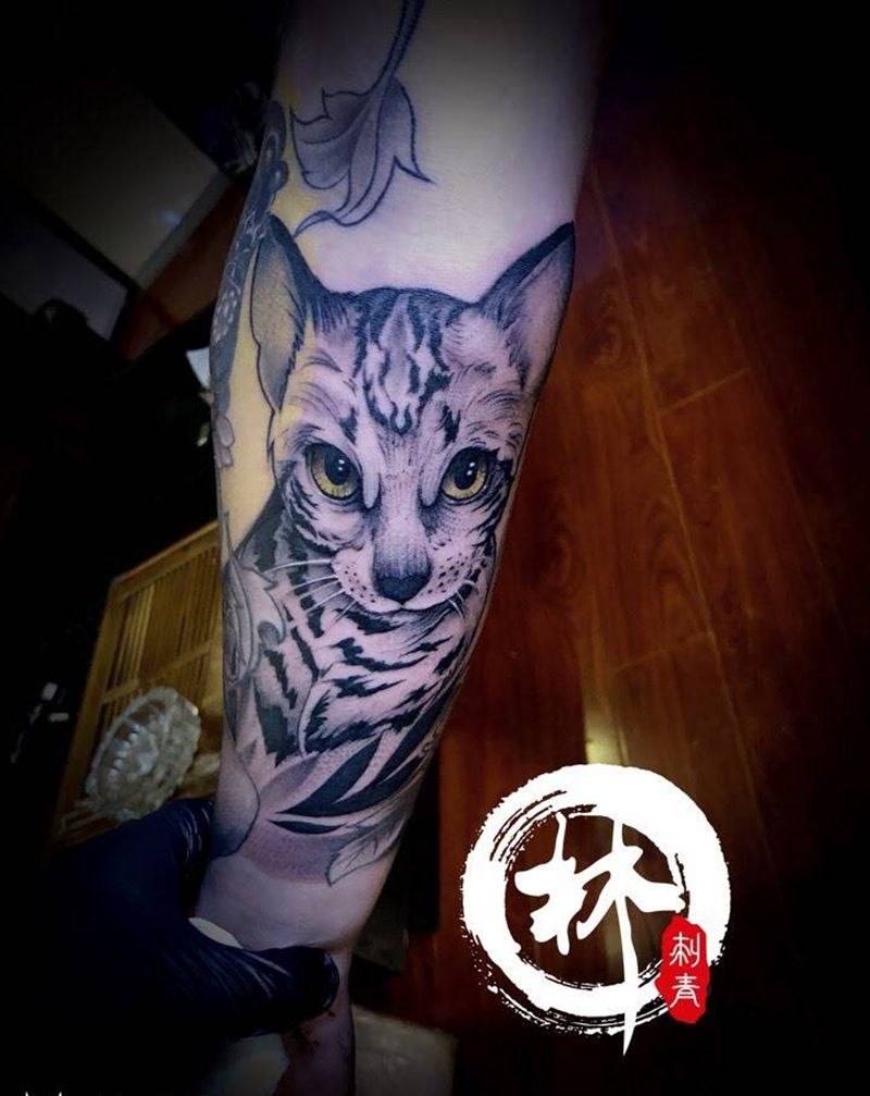 猫狮不确定纹身图片