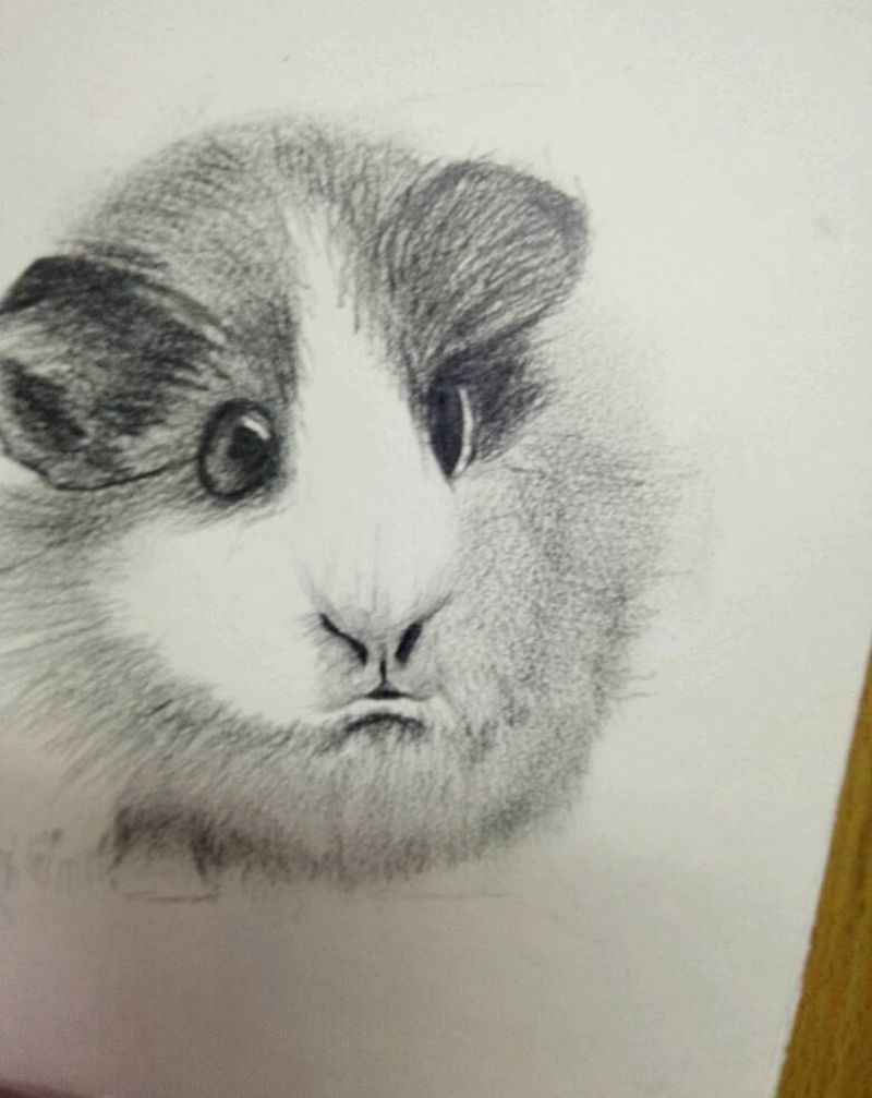 猜猜是啥纹身图片