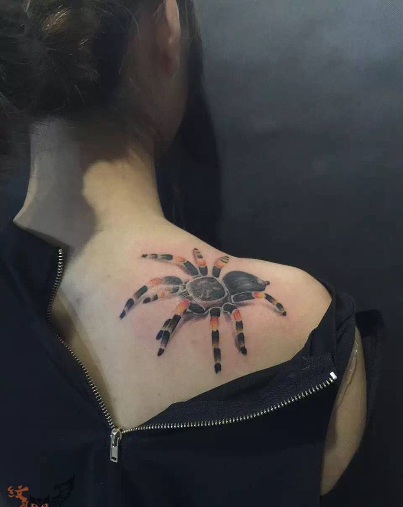 蜘蛛纹身图片_无锡.宜兴雨墨刺青常州背部动物传统清新原创写实纹身图案