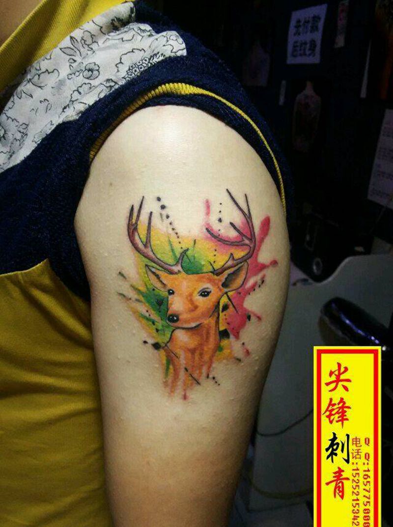 麋鹿纹身图片