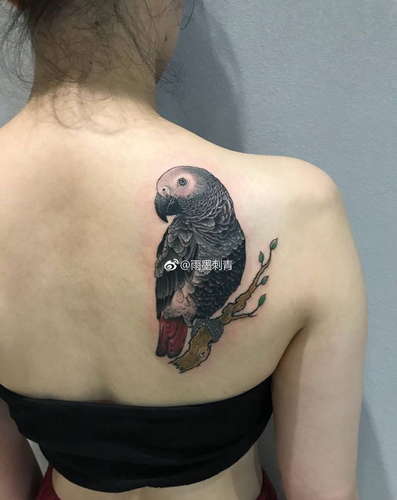 鹦鹉纹身图片