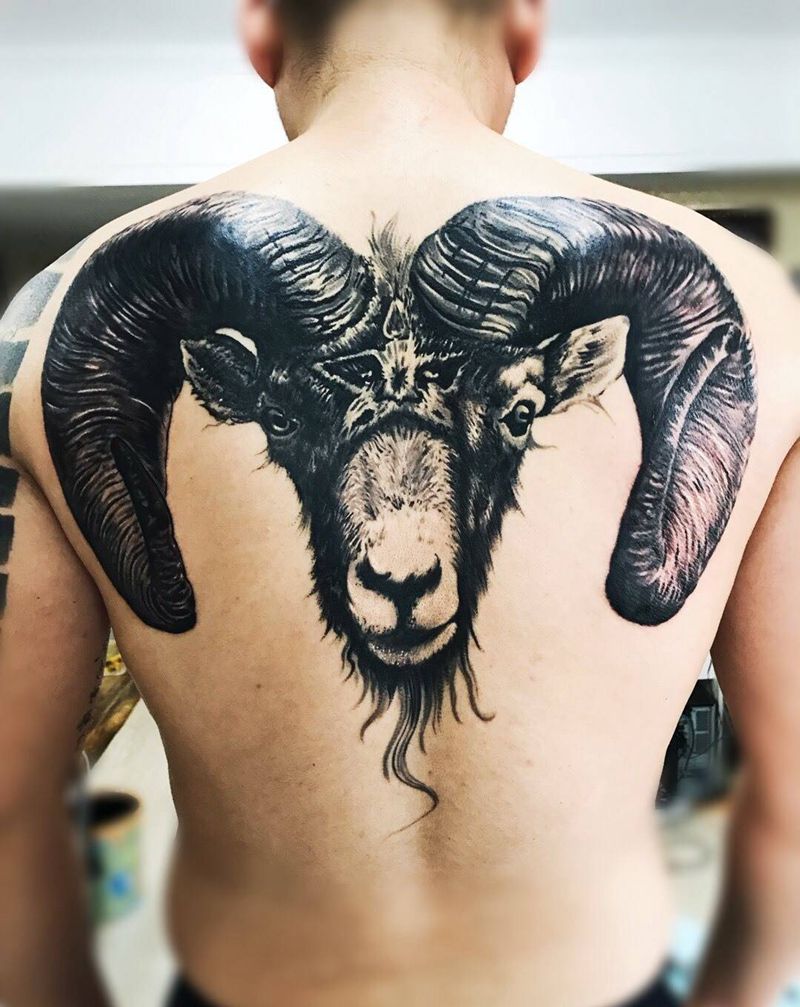 公羊纹身图片