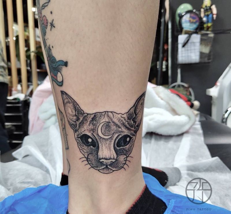 猫纹身图片