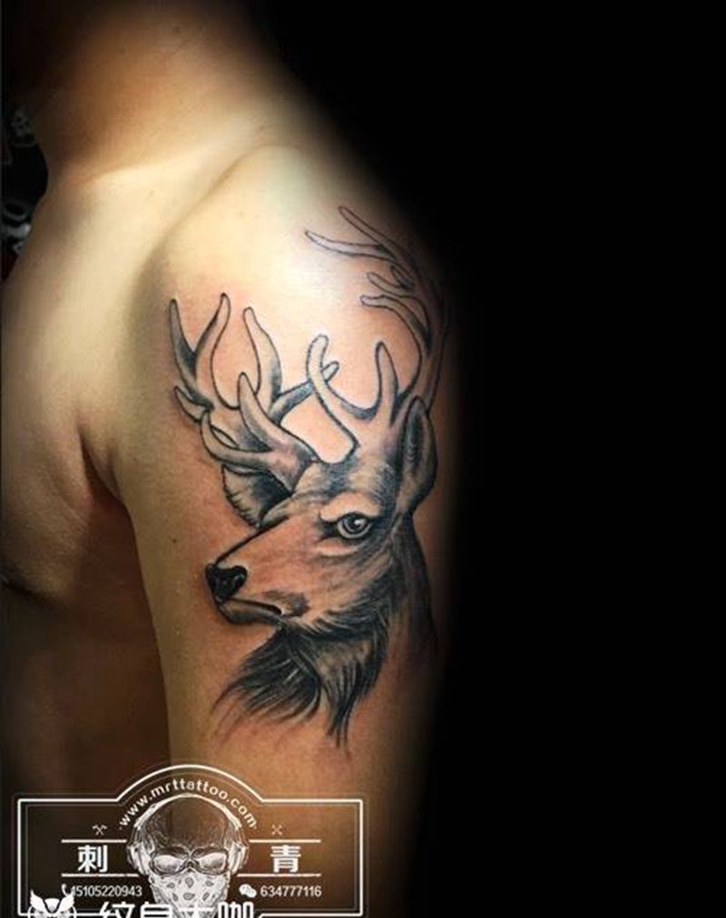 鹿纹身图片