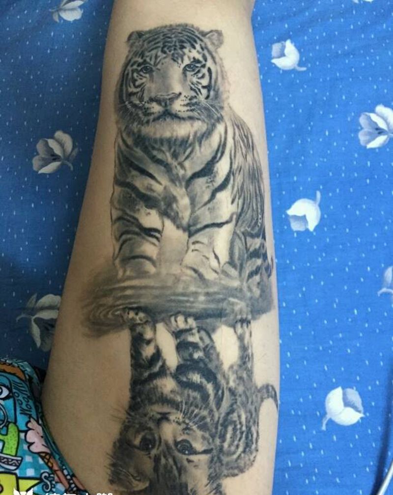 猫虎恢效果图纹身图片