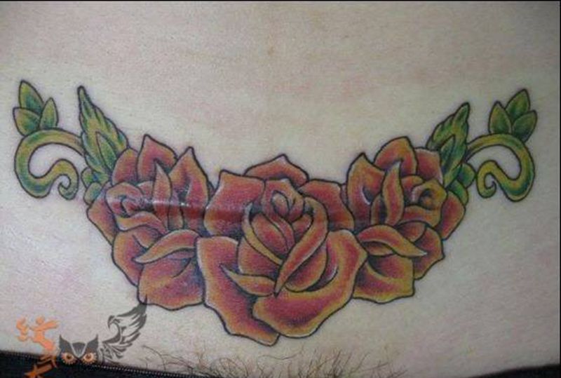 刀疤遮盖纹身图片_成品传统腹部植物修改遮盖纹身图案