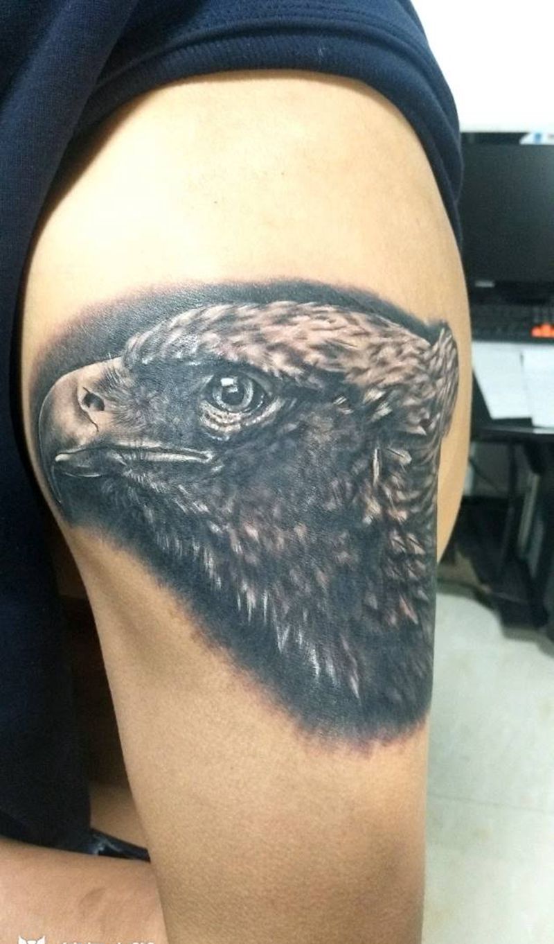 老鹰纹身图片_肩部手臂欧美写实动物成品纹身图案