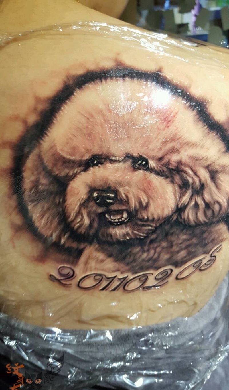泰迪肖像纹身图片_肩部欧美写实原创纹身图案