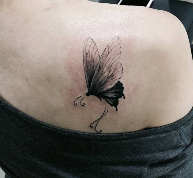 两只蝴蝶纹身图片