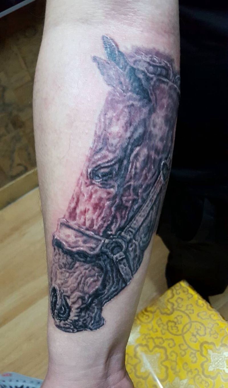 马纹身图片_手臂欧美动物原创纹身图案