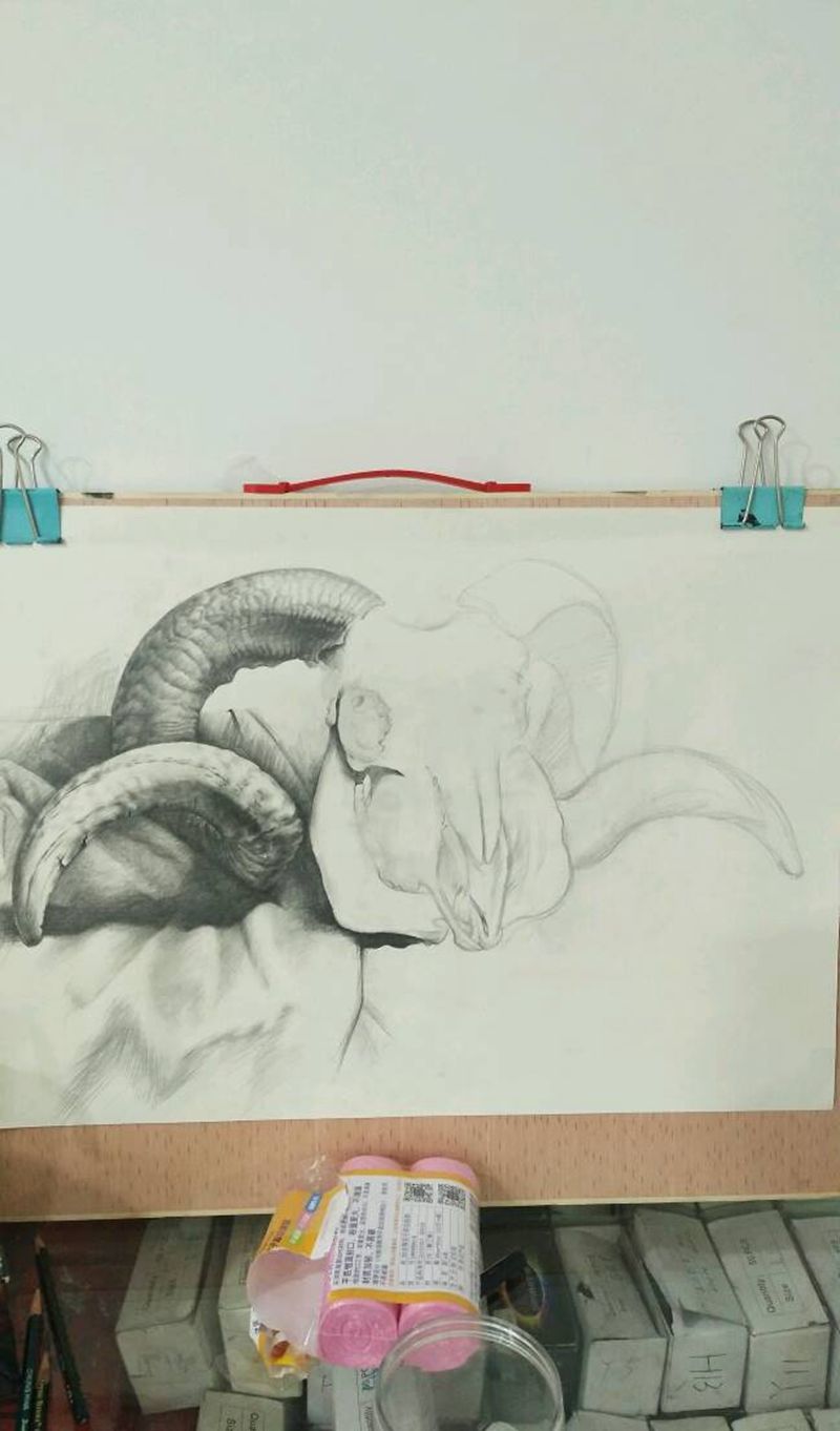 挂羊头干纹身，羊头下周见，先画纹身图片_胸部腰部背部动物静物纹身图案