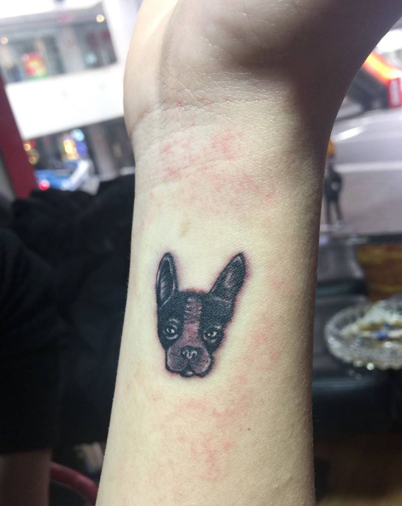 mini小法斗纹身图片