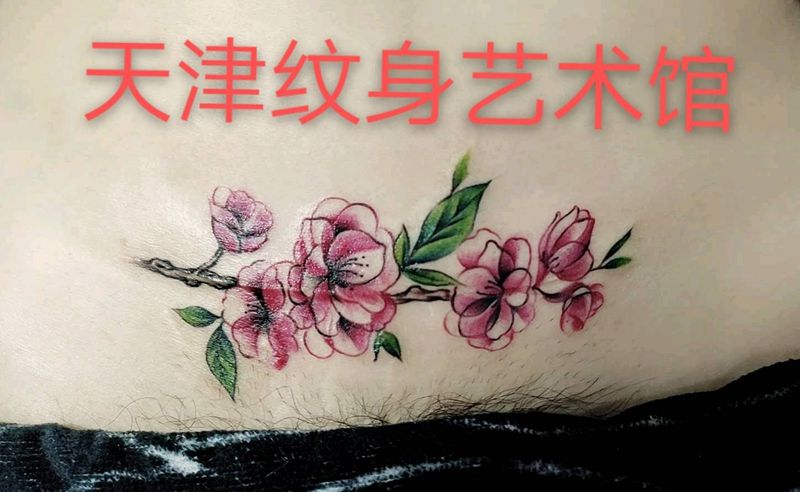 盖疤痕纹身图片_腹部纹身图案